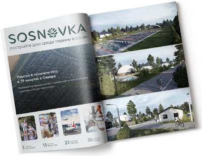 Презентация Сосновка