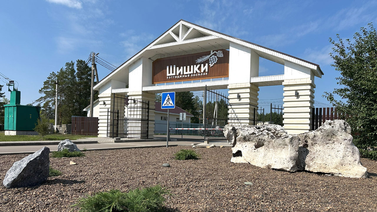 Шишки